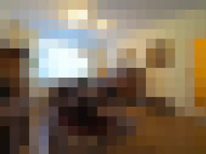 Vincent van Goghlaan 77 Papendrecht thumbnail 13