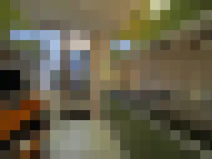 Vincent van Goghlaan 77 Papendrecht thumbnail 16
