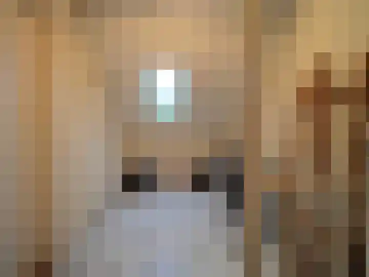 Vincent van Goghlaan 77 Papendrecht thumbnail 32