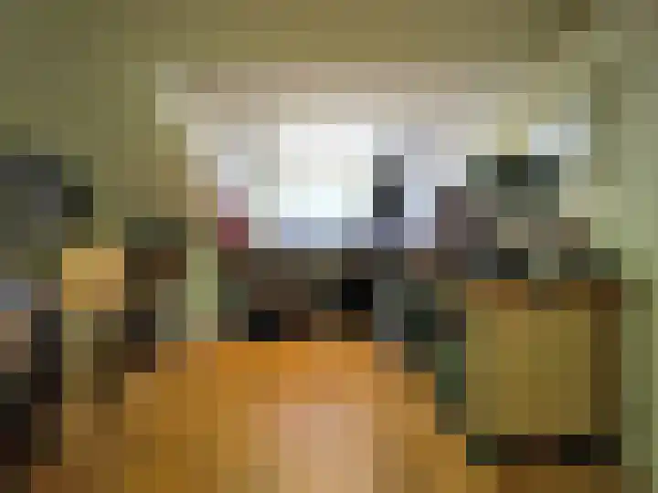 Vincent van Goghlaan 77 Papendrecht thumbnail 34