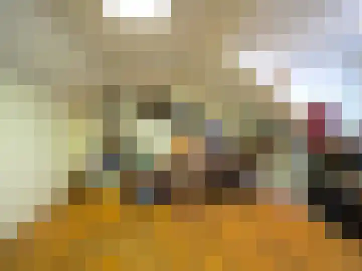 Vincent van Goghlaan 77 Papendrecht thumbnail 35