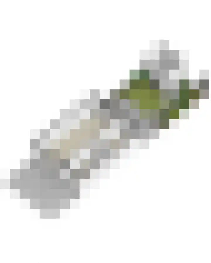 Vincent van Goghlaan 77 Papendrecht thumbnail 42