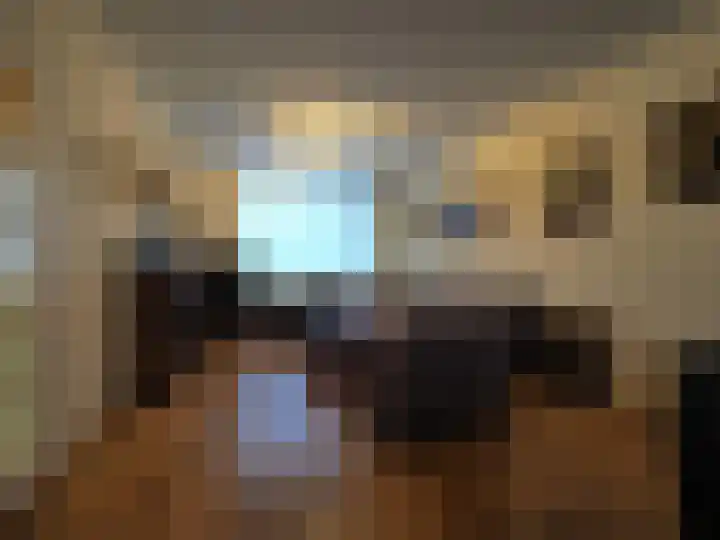 Vincent van Goghlaan 77 Papendrecht thumbnail 7