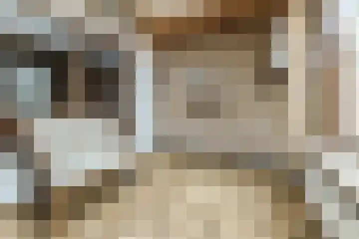 Vincent van Goghlaan 8 Budel thumbnail 12