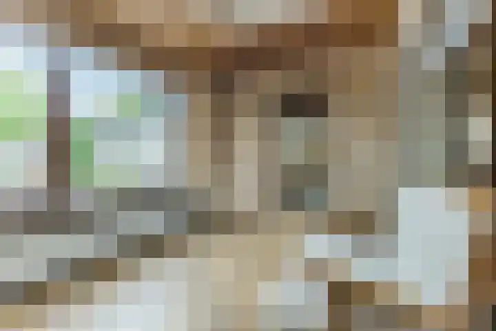Vincent van Goghlaan 8 Budel thumbnail 13