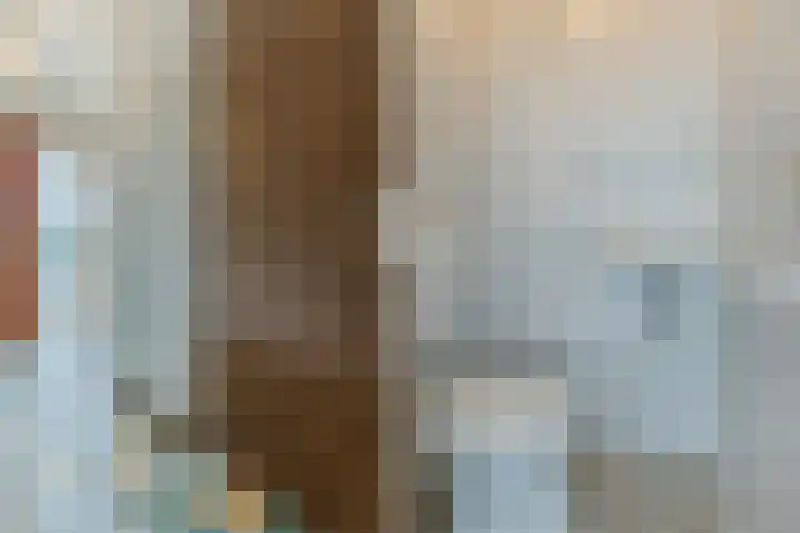 Vincent van Goghlaan 8 Budel thumbnail 14