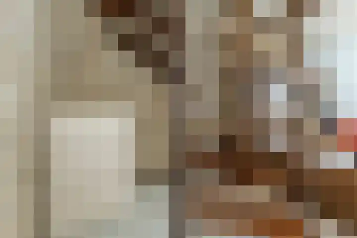 Vincent van Goghlaan 8 Budel thumbnail 15