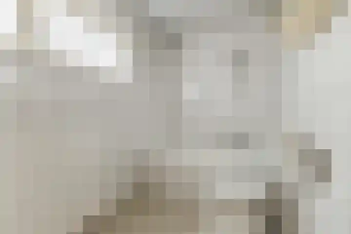 Vincent van Goghlaan 8 Budel thumbnail 24