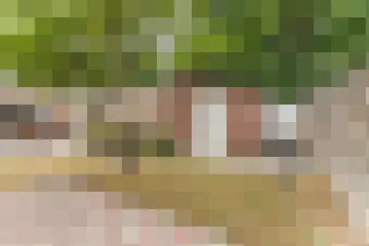 Vincent van Goghlaan 8 Budel thumbnail 28