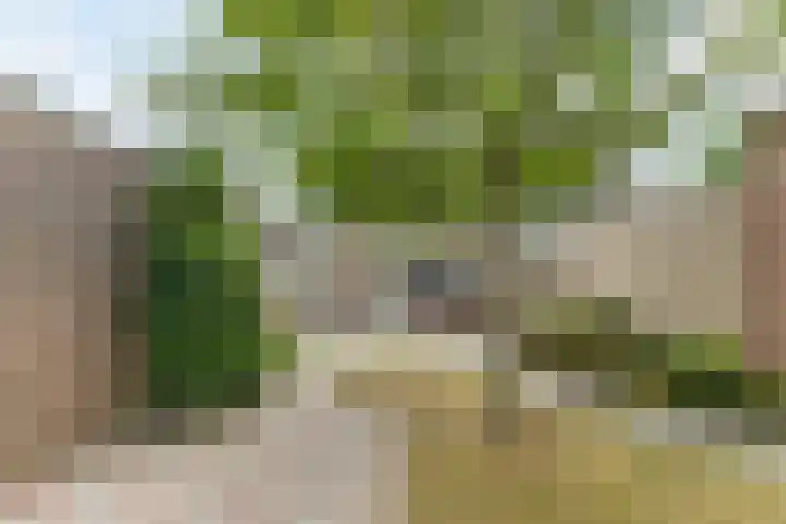 Vincent van Goghlaan 8 Budel thumbnail 29