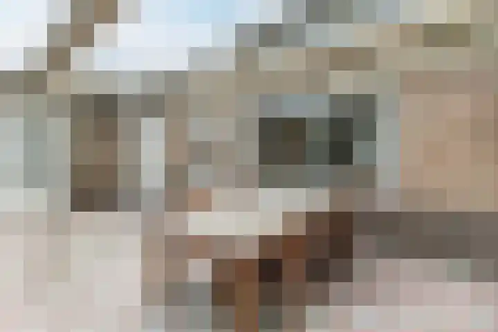 Vincent van Goghlaan 8 Budel thumbnail 30