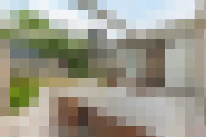 Vincent van Goghlaan 8 Budel thumbnail 31