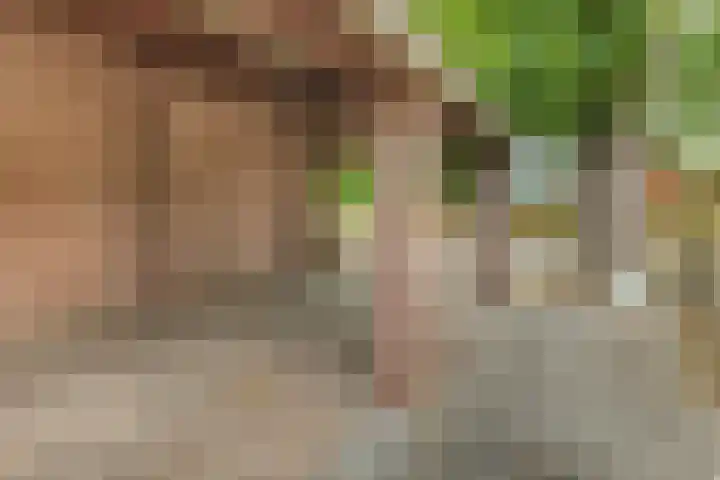 Vincent van Goghlaan 8 Budel thumbnail 34