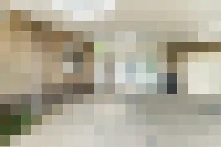 Vincent van Goghlaan 8 Budel thumbnail 35