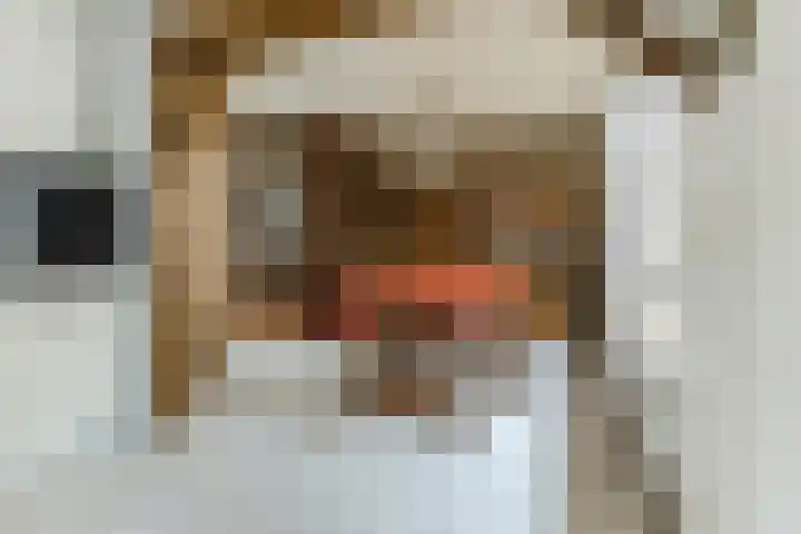 Vincent van Goghlaan 8 Budel thumbnail 6