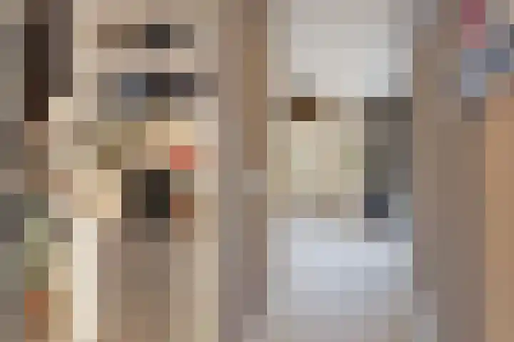 Vincent van Goghlaan 8 Enschede thumbnail 23