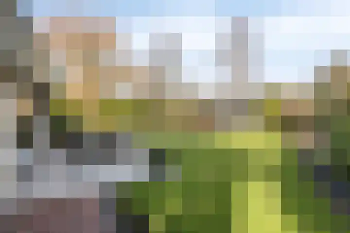 Vincent van Goghlaan 8 Enschede thumbnail 4