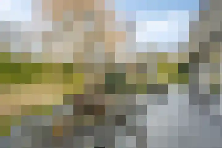 Vincent van Goghlaan 8 Enschede thumbnail 44