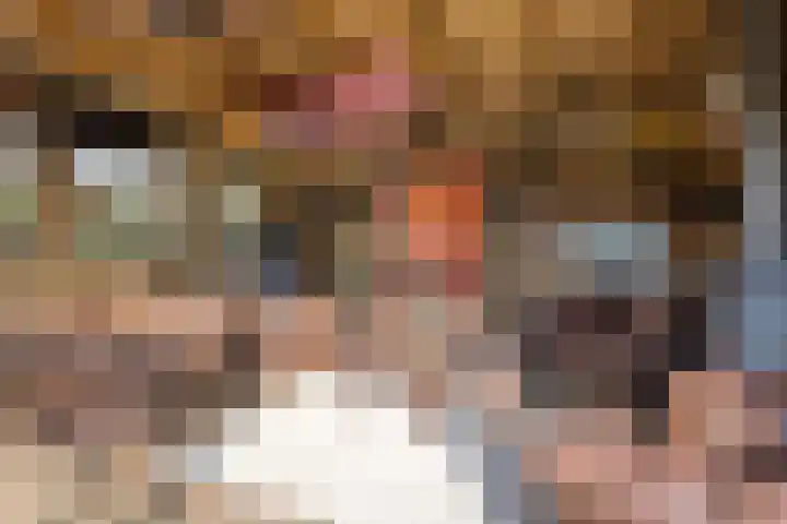 Vincent van Goghlaan 8 Enschede thumbnail 47