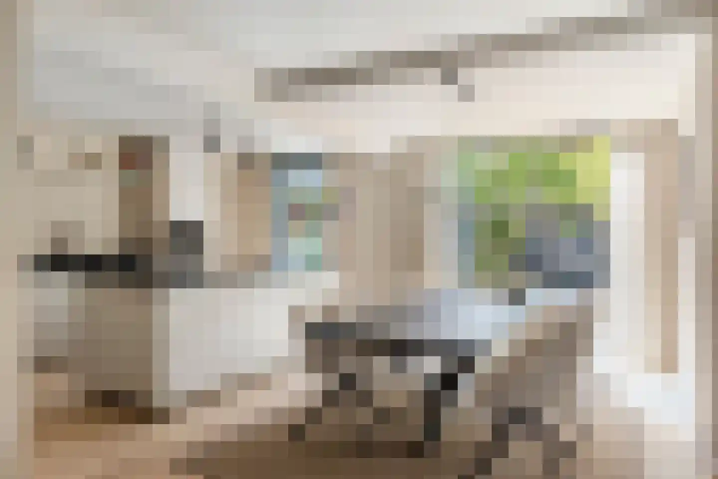 Vincent van Goghlaan 8 Waalre thumbnail 18