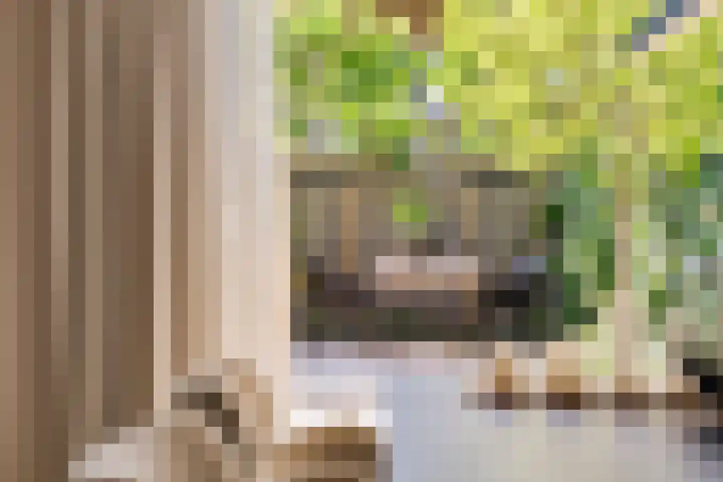 Vincent van Goghlaan 8 Waalre thumbnail 25