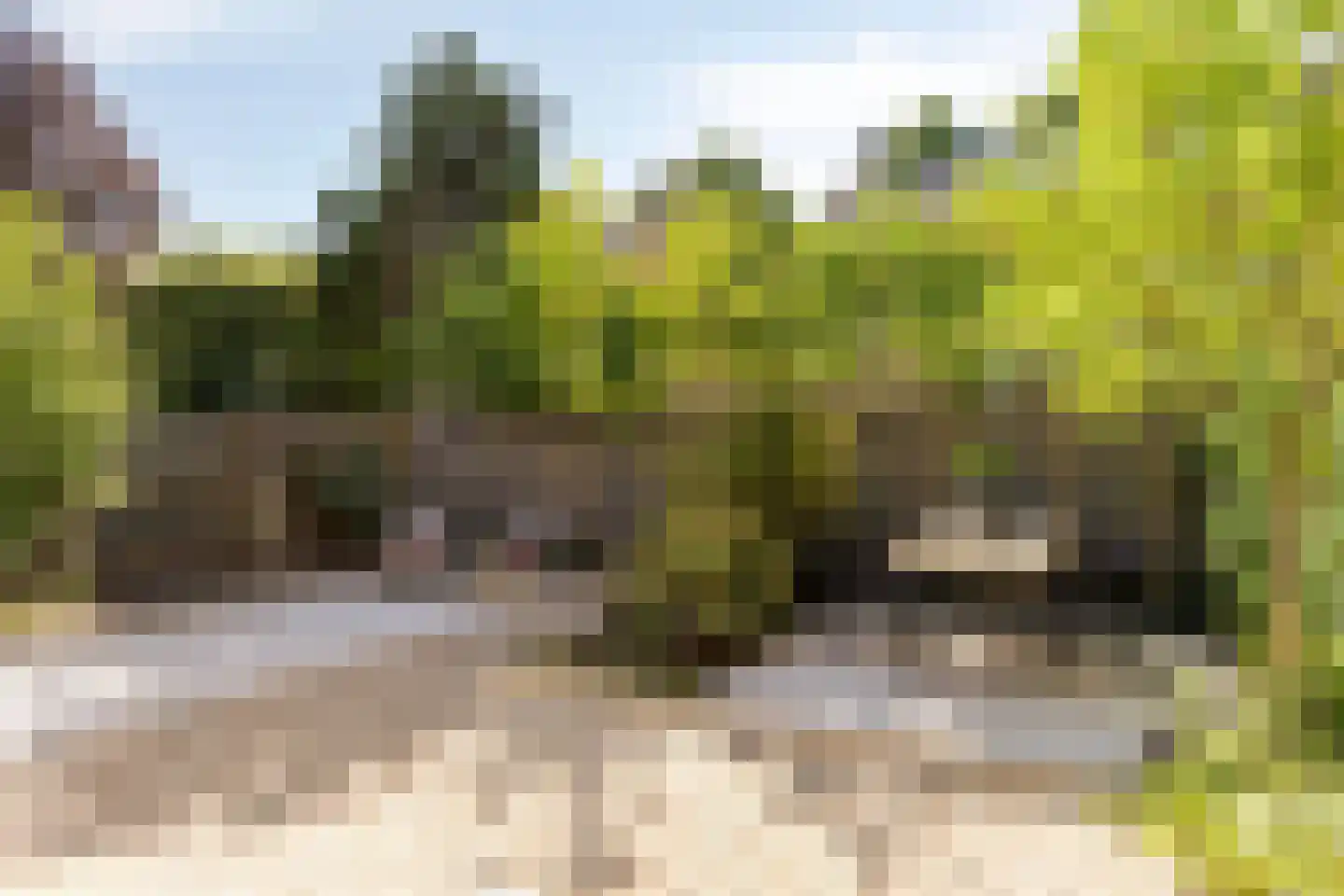 Vincent van Goghlaan 8 Waalre thumbnail 28