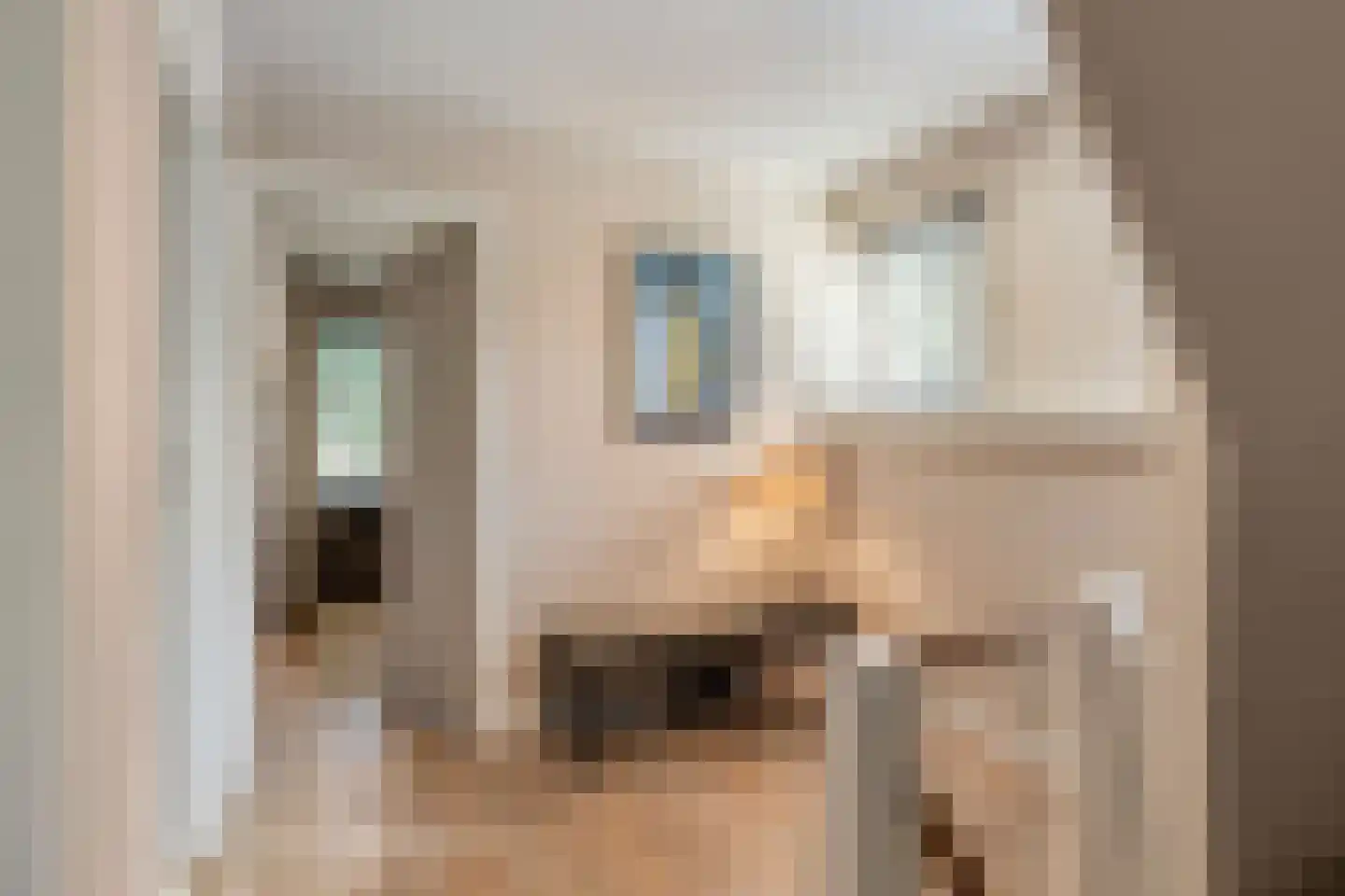 Vincent van Goghlaan 8 Waalre thumbnail 33
