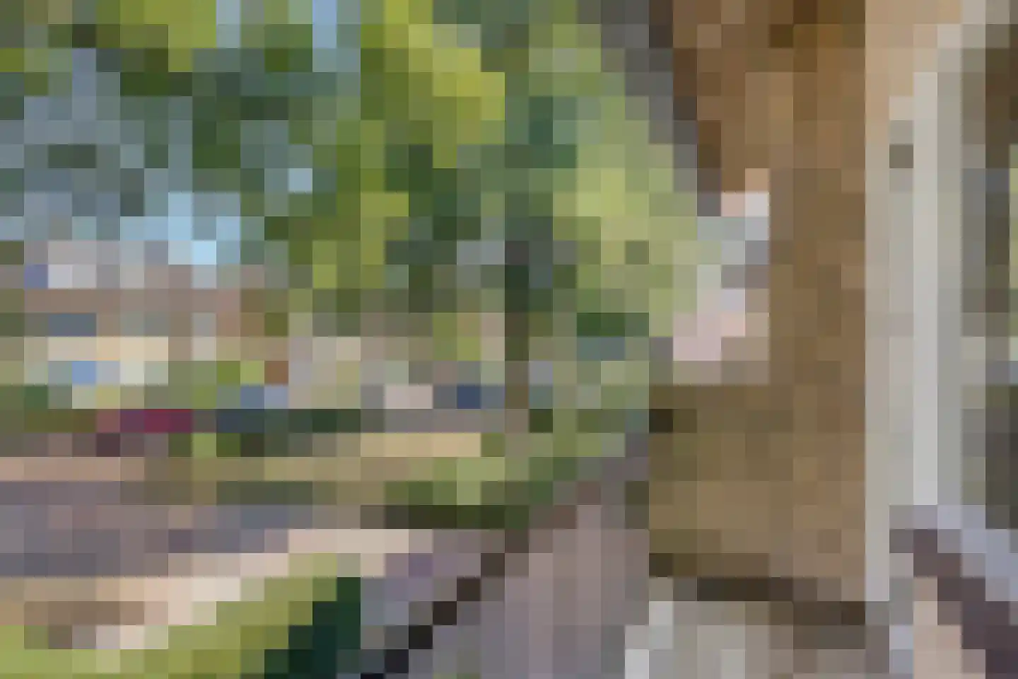 Vincent van Goghlaan 8 Waalre thumbnail 37