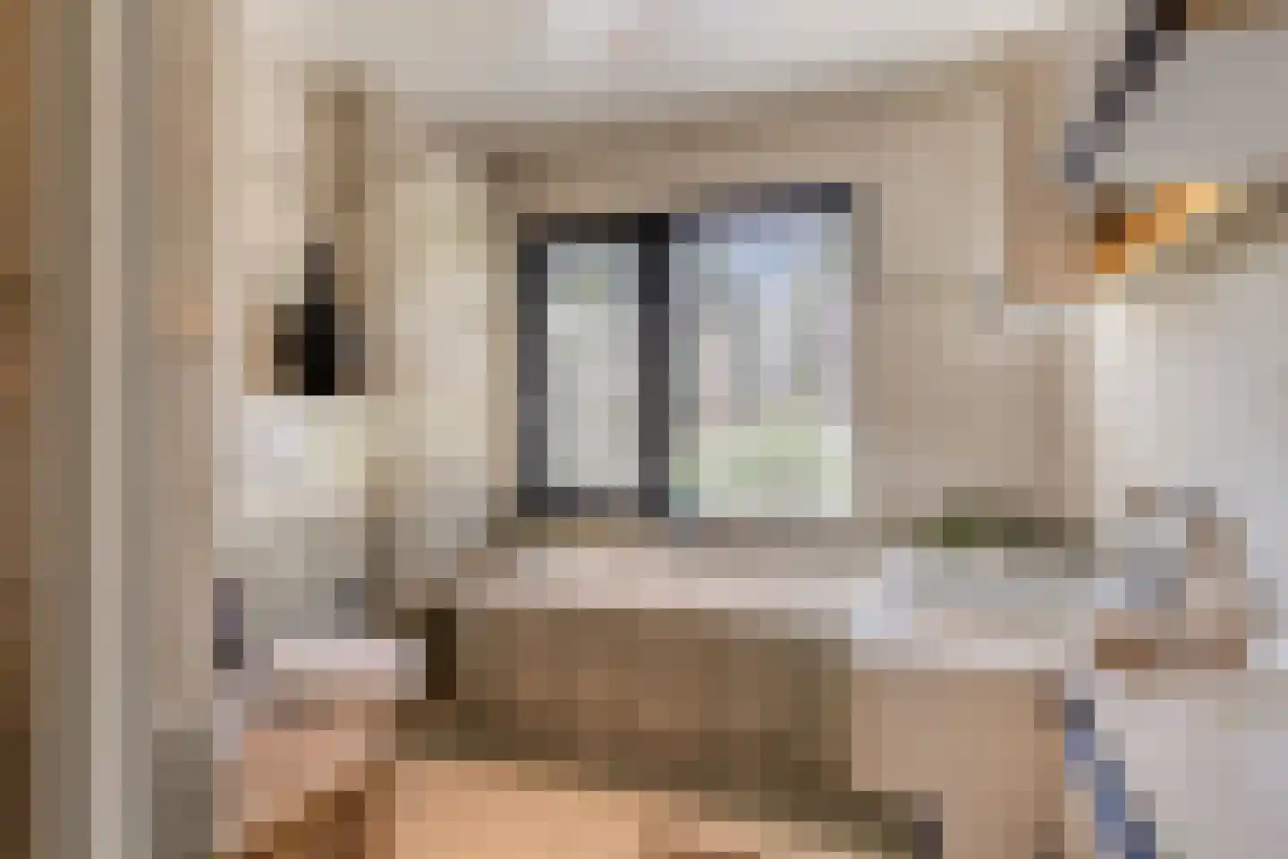 Vincent van Goghlaan 8 Waalre thumbnail 41
