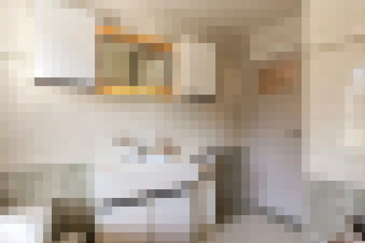 Vincent van Goghlaan 8 Waalre thumbnail 42