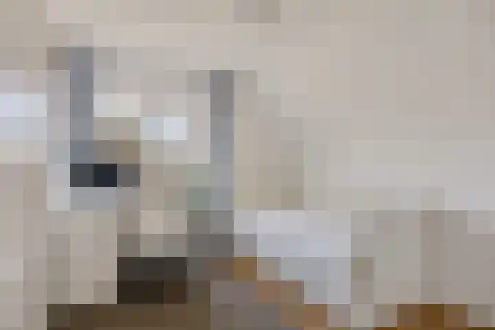 Vincent van Goghlaan 88 Enschede thumbnail 31