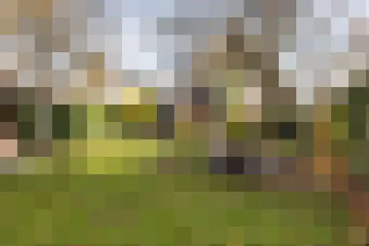 Vincent van Goghlaan 88 Enschede thumbnail 45