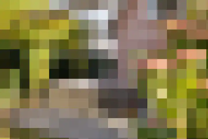 Vincent van Goghlaan 88 Enschede thumbnail 46