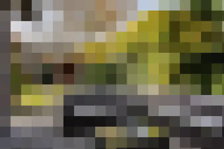 Vincent van Goghlaan 88 Enschede thumbnail 47
