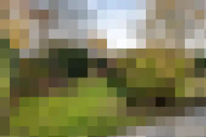 Vincent van Goghlaan 88 Enschede thumbnail 48