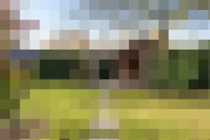 Vincent van Goghlaan 88 Enschede thumbnail 49