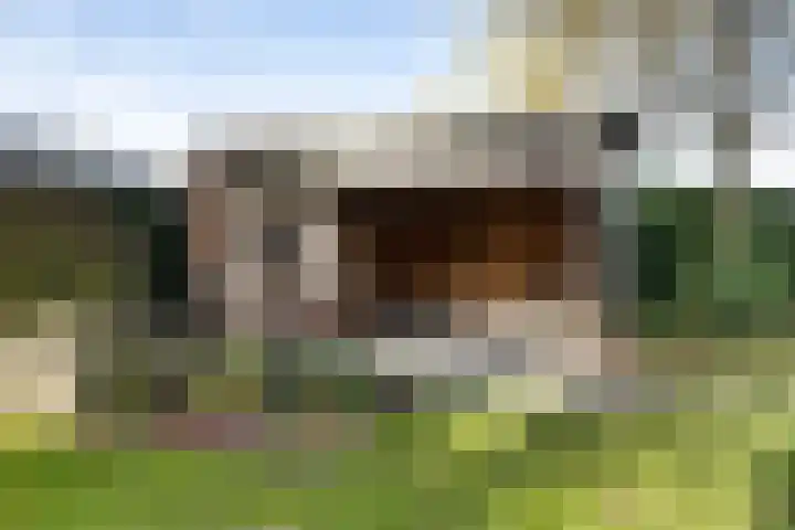 Vincent van Goghlaan 88 Enschede thumbnail 51