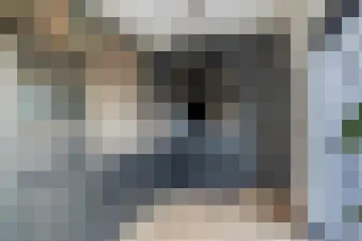 Vincent van Goghlaan 9 Musselkanaal thumbnail 11