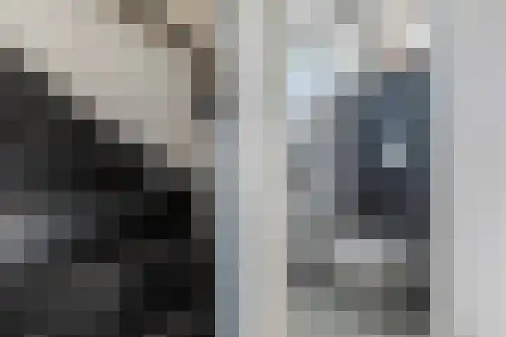 Vincent van Goghlaan 9 Musselkanaal thumbnail 13