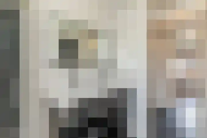 Vincent van Goghlaan 9 Musselkanaal thumbnail 16