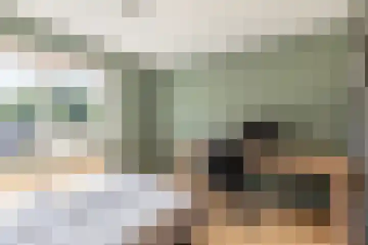 Vincent van Goghlaan 9 Musselkanaal thumbnail 17