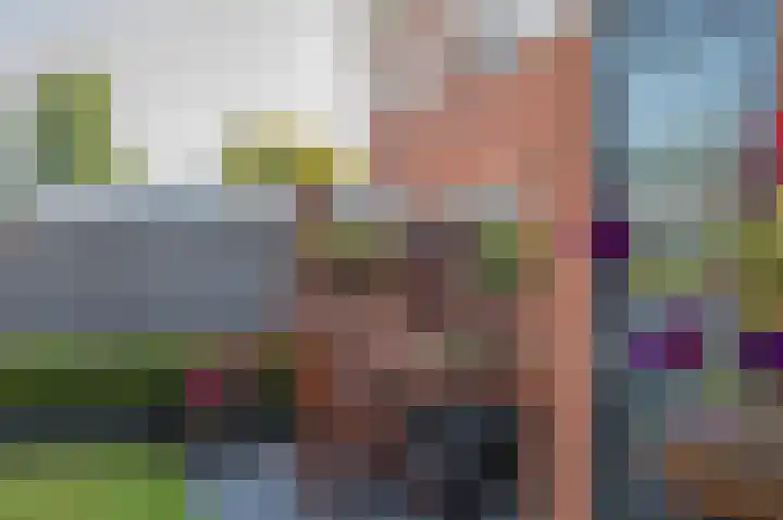 Vincent van Goghlaan 9 Musselkanaal thumbnail 21