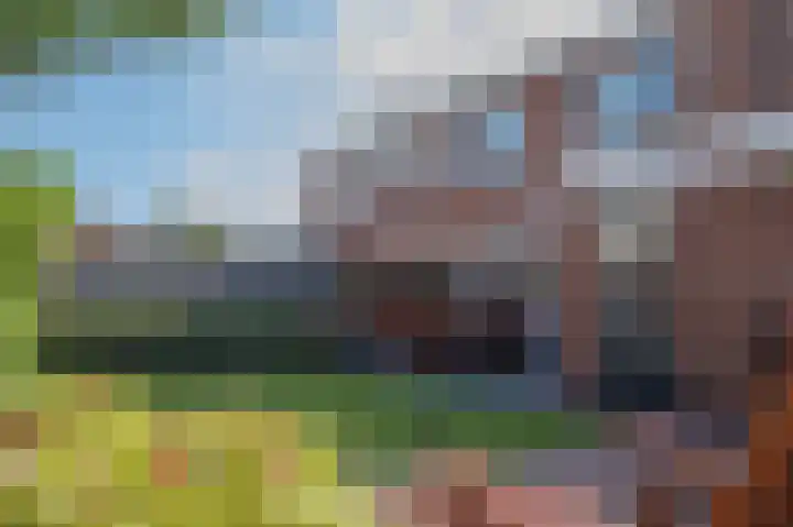 Vincent van Goghlaan 9 Musselkanaal thumbnail 24