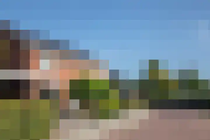 Vincent van Goghlaan 9 Musselkanaal thumbnail 25