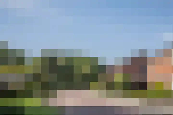 Vincent van Goghlaan 9 Musselkanaal thumbnail 26