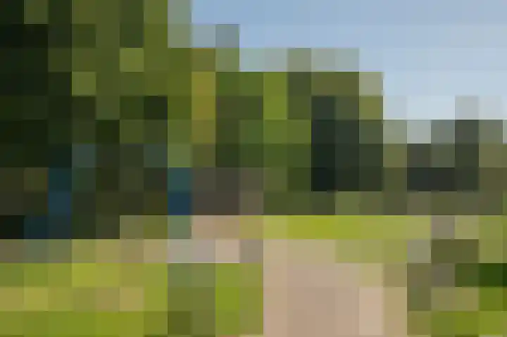 Vincent van Goghlaan 9 Musselkanaal thumbnail 27