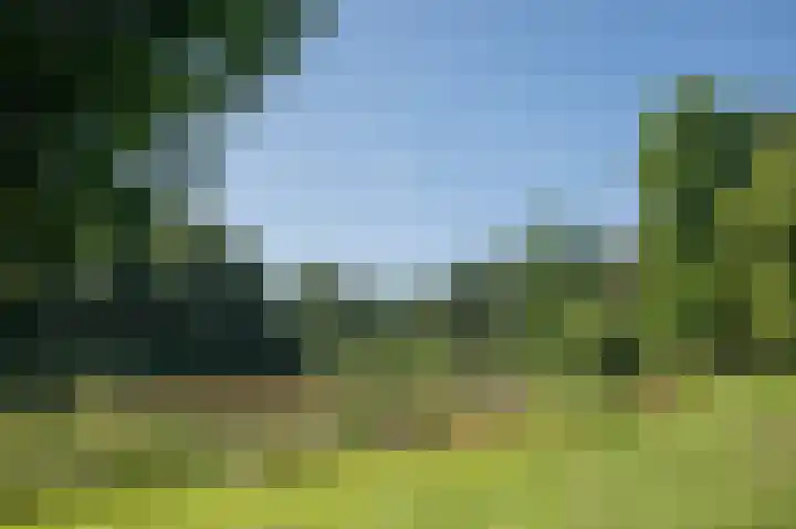 Vincent van Goghlaan 9 Musselkanaal thumbnail 28