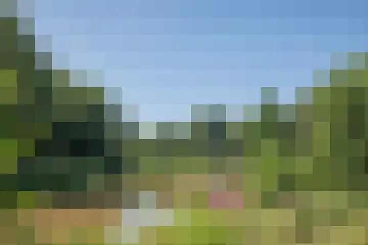 Vincent van Goghlaan 9 Musselkanaal thumbnail 29