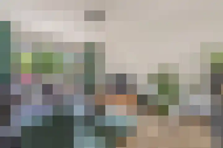 Vincent van Goghlaan 9 Musselkanaal thumbnail 4