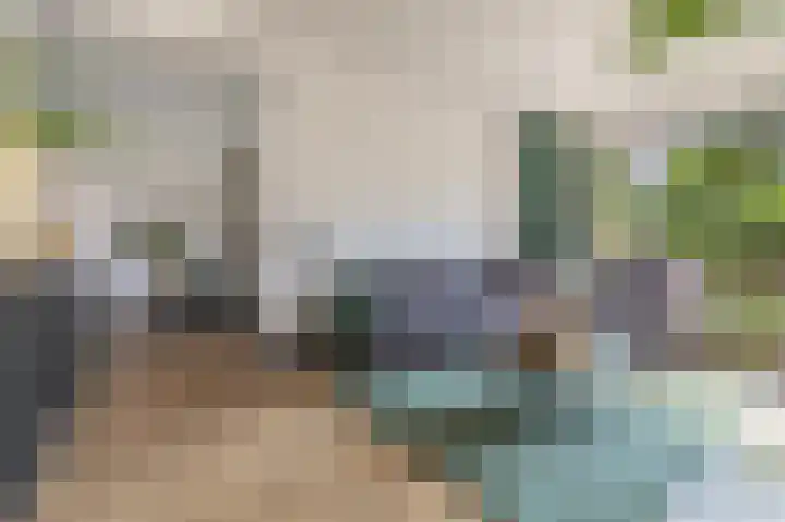 Vincent van Goghlaan 9 Musselkanaal thumbnail 7
